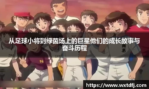 从足球小将到绿茵场上的巨星他们的成长故事与奋斗历程